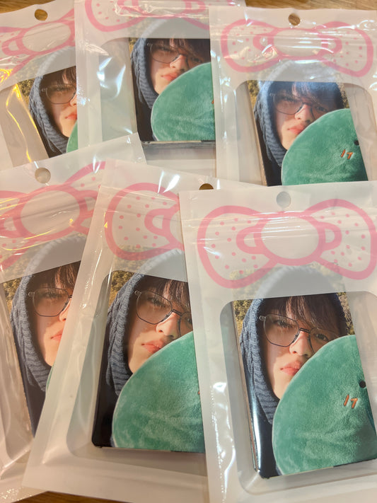 Seventeen in the soop 2 photocard set