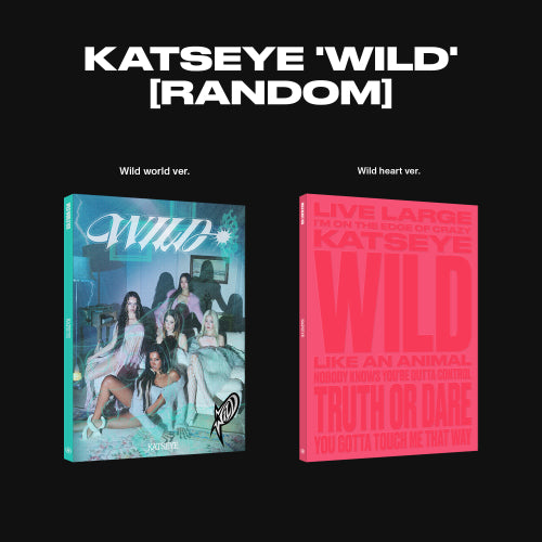 캣츠아이(KATSEYE) - WILD [Random Cover]