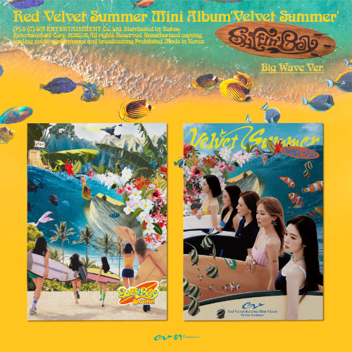 레드벨벳(Red Velvet) - Velvet Summer [Big Wave Ver. - Random Cover]