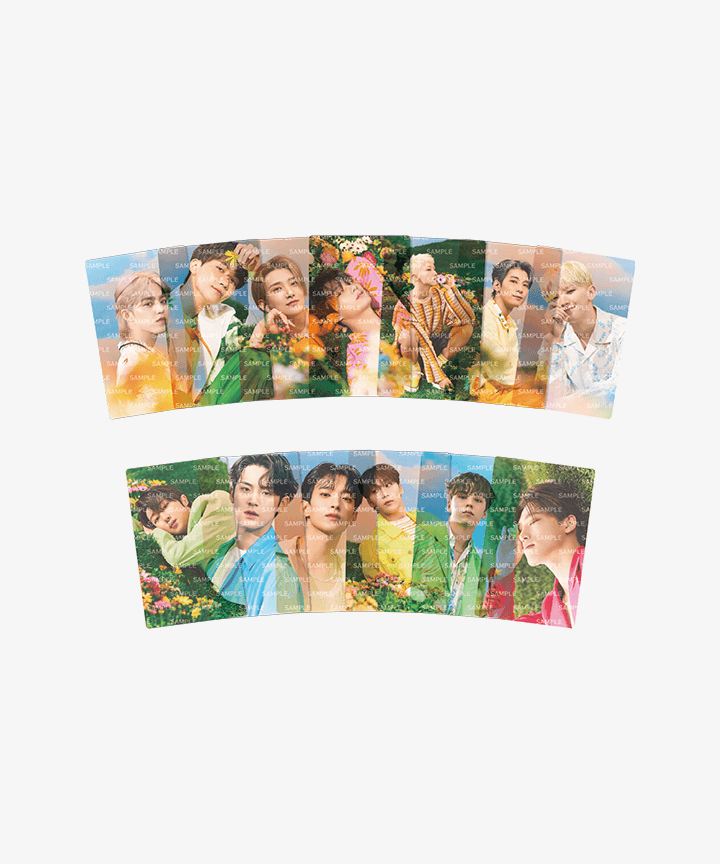 Seventeen - Clear Photo Card Set